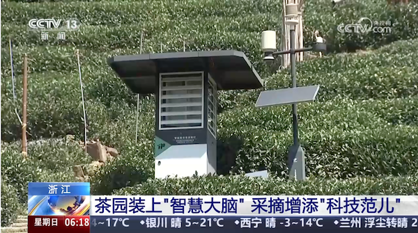 央視、人民網(wǎng)等權(quán)威媒體聚焦西湖龍井：托普云農(nóng)“黑科技”點(diǎn)亮千年茶香智變之路