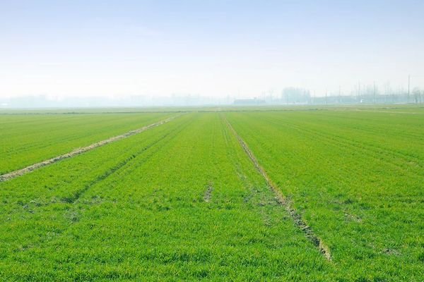 科技賦能春耕，托普云農(nóng)智慧農(nóng)情監(jiān)測(cè)站再獲央視關(guān)注