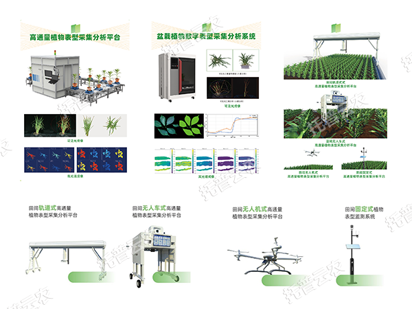 AI+農(nóng)業(yè)新突破！托普高通量植物表型智能分析平臺(tái)助力智慧農(nóng)業(yè)創(chuàng)新發(fā)展