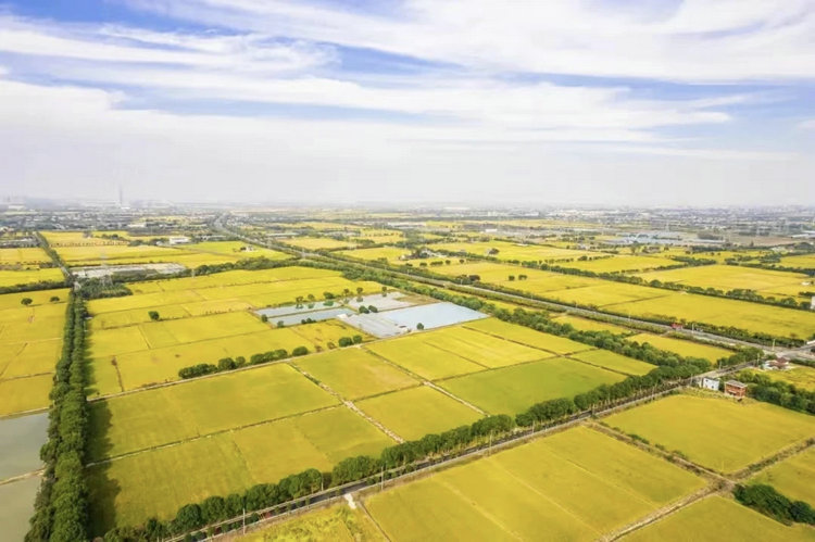 未來農場解決方案