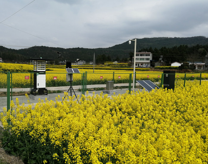 農(nóng)業(yè)(農(nóng)林)四情監(jiān)測系統(tǒng)