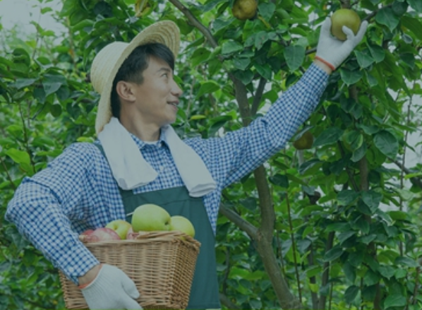 產(chǎn)供銷一體化綜合解決方案