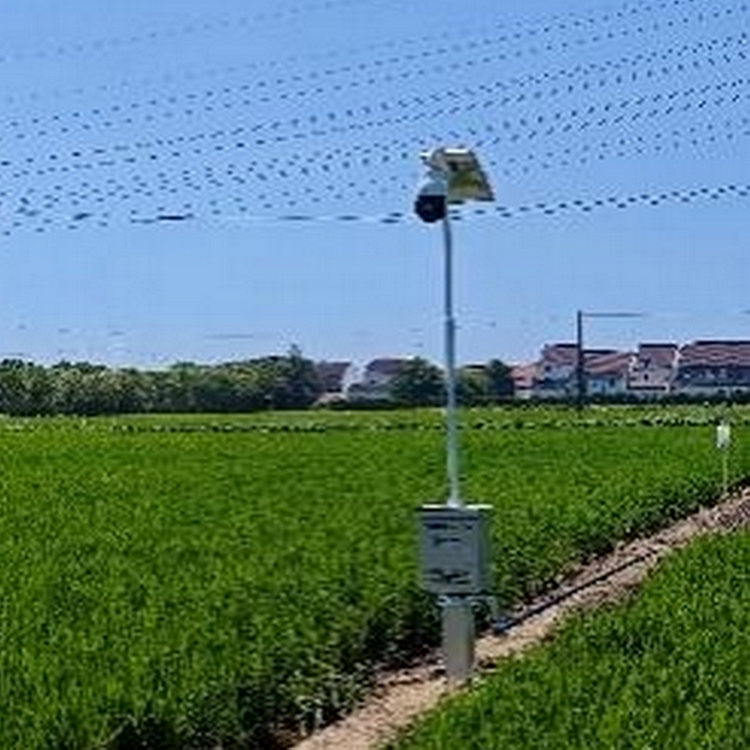 自動趕蛾智能統(tǒng)計桿