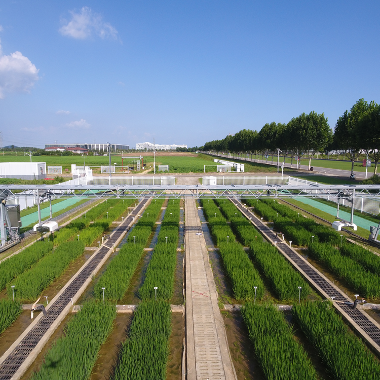 龍門(mén)式高通量表型采集分析平臺(tái)（地軌式）