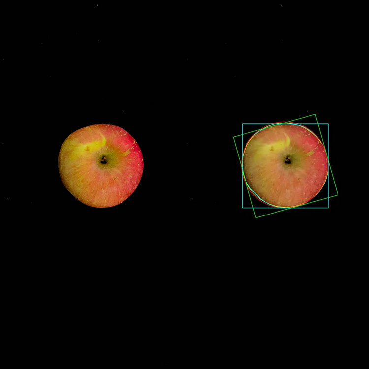 蘋果分析圖1.JPG